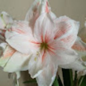 Meet your Posher, Mmm